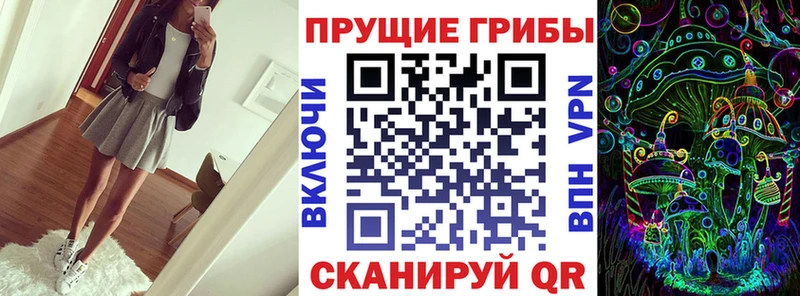 Псилоцибиновые грибы MAGIC MUSHROOMS  купить закладку  Тарко-Сале 